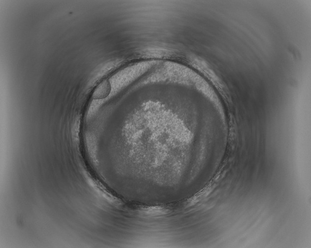 X0000110950058200907101315