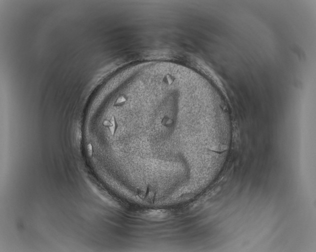 X0000110950059200907101315