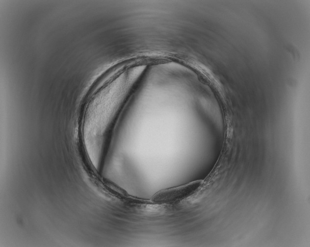 X0000110950060200907101315