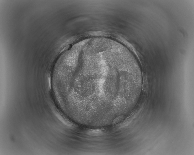 X0000110950061200907101315