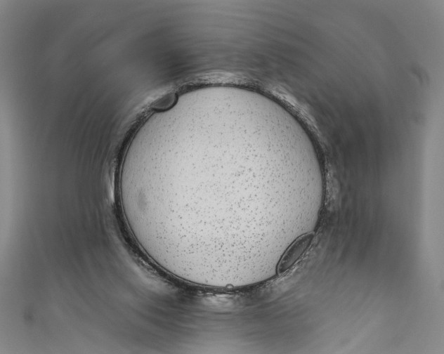 X0000110950062200907101315