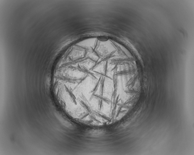 X0000110950063200907101315