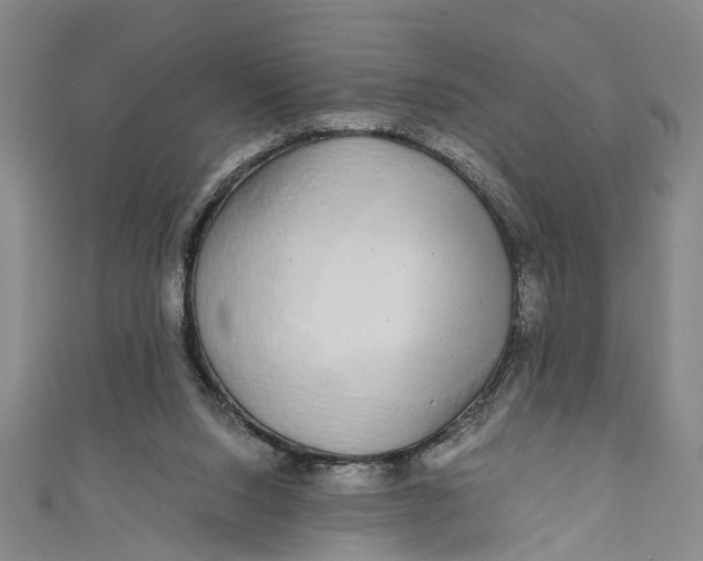 X0000110950064200907101315