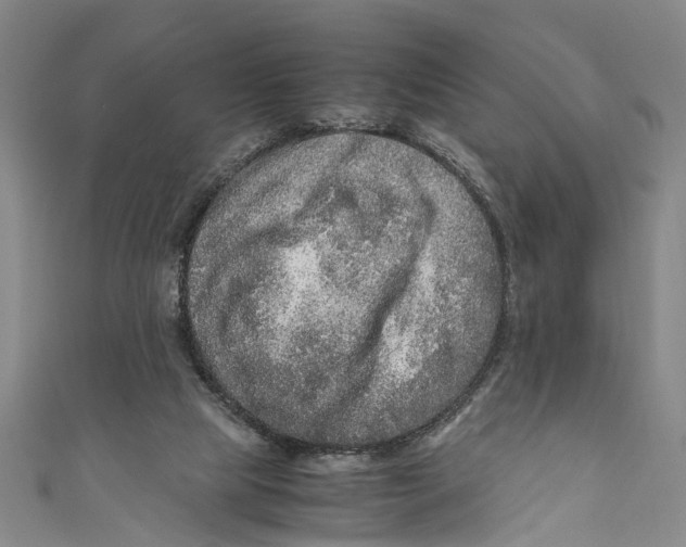 X0000110950065200907101315