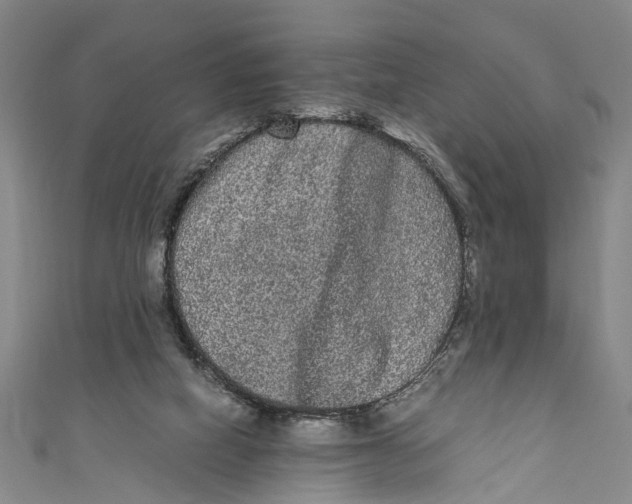 X0000110950066200907101315