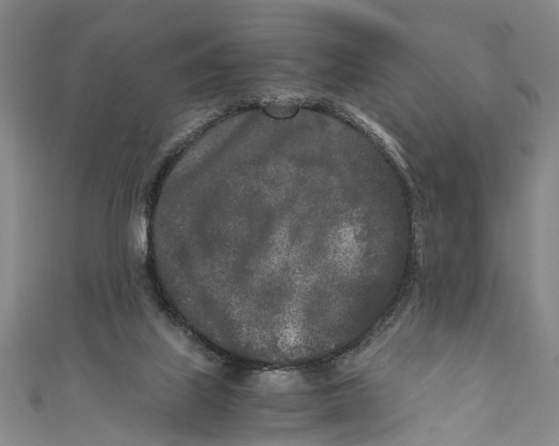 X0000110950067200907101315