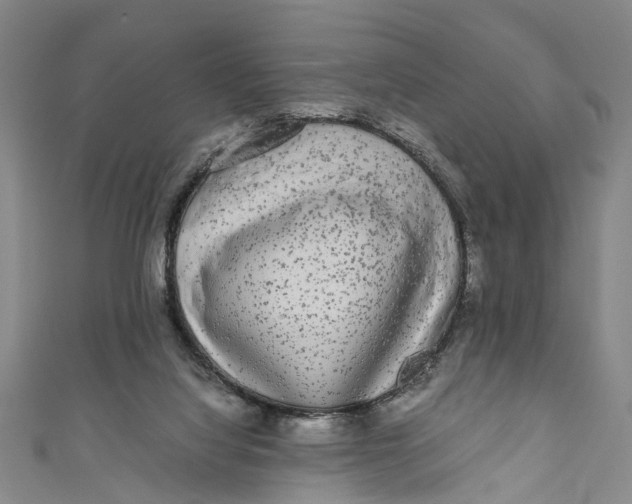 X0000110950068200907101315