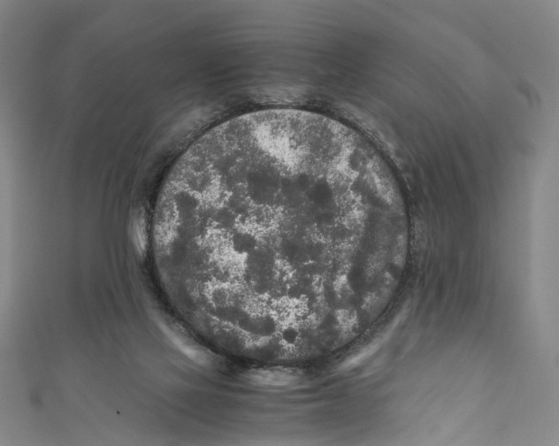 X0000110950069200907101315