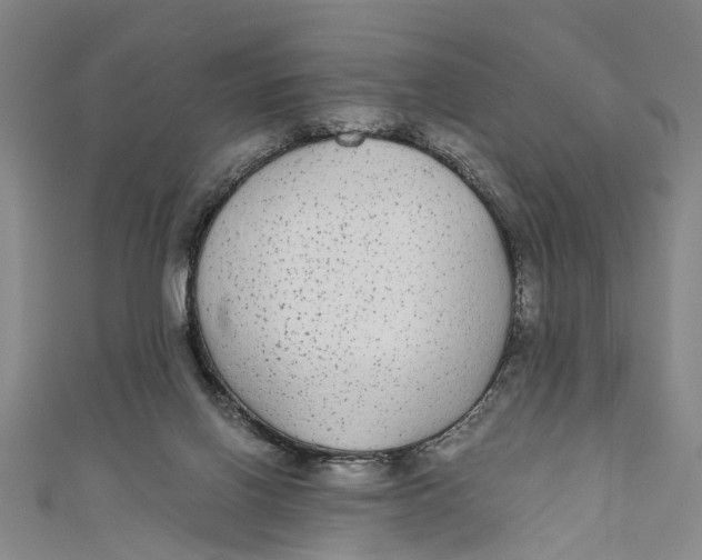 X0000110950070200907101315