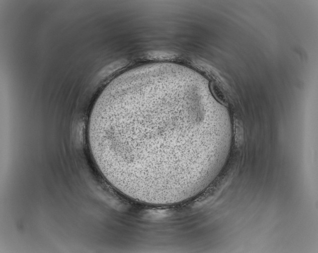 X0000110950071200907101315