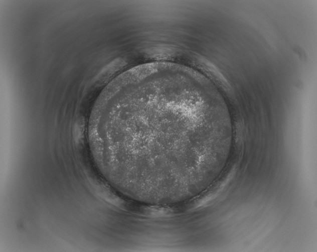 X0000110950073200907101316