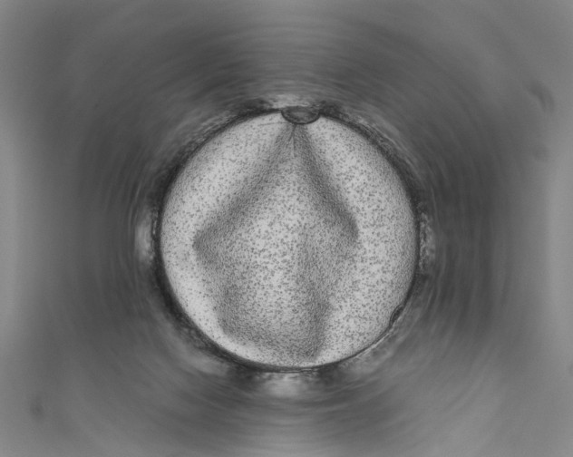 X0000110950074200907101316