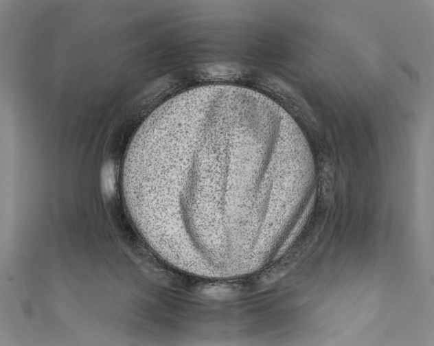 X0000110950075200907101316