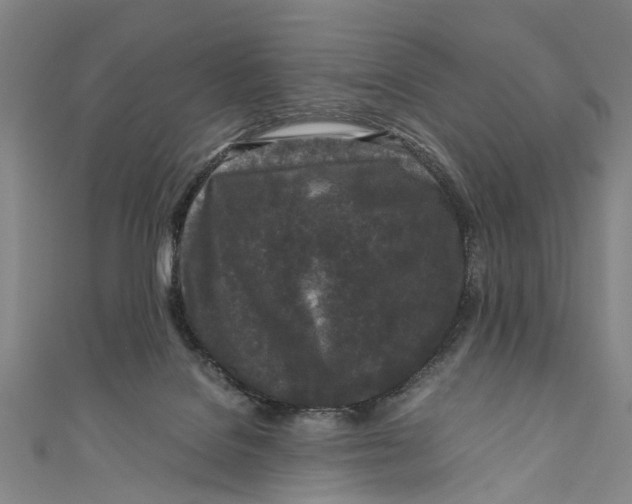 X0000110950076200907101316