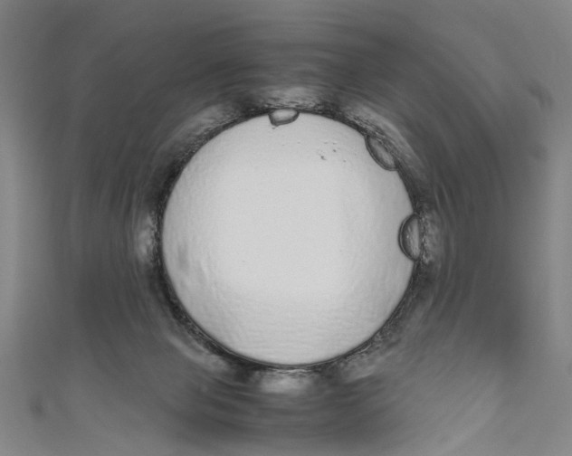 X0000110950077200907101316