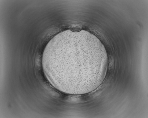 X0000110950078200907101316