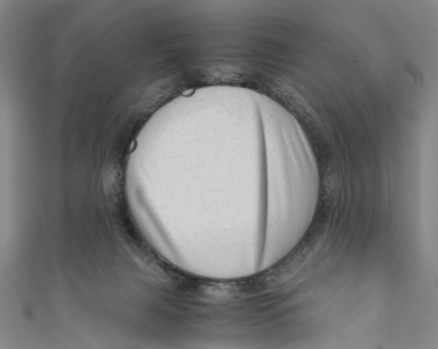 X0000110950079200907101316