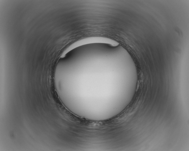 X0000110950080200907101316