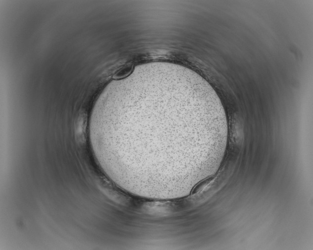 X0000110950082200907101316