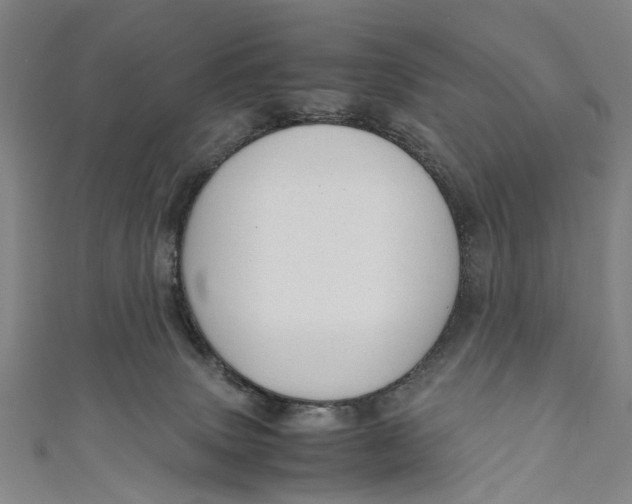 X0000110950083200907101316