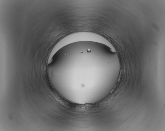 X0000110950084200907101316