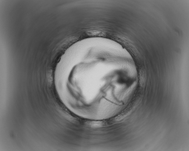 X0000110950085200907101316