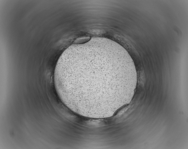 X0000110950086200907101316