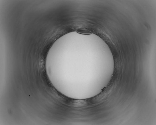 X0000110950087200907101316