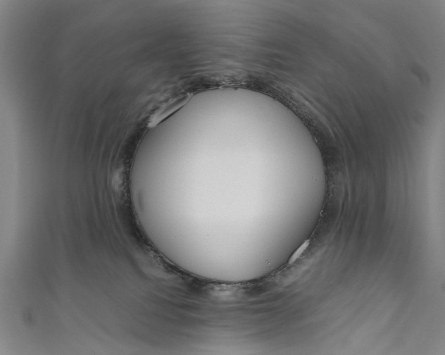 X0000110950088200907101316