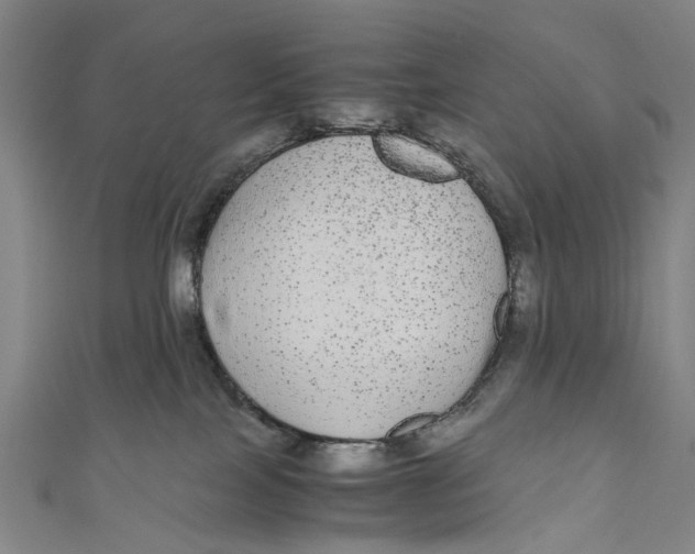 X0000110950089200907101316