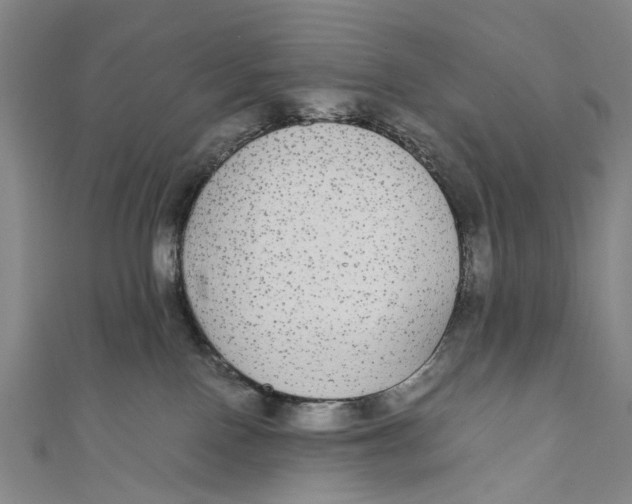 X0000110950090200907101316