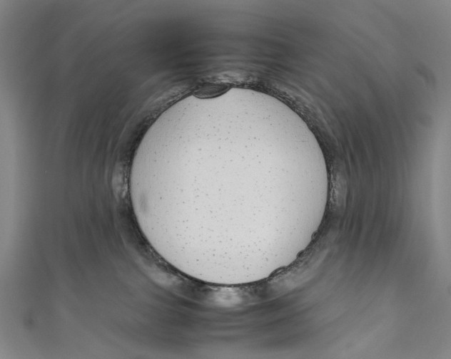 X0000110950091200907101316