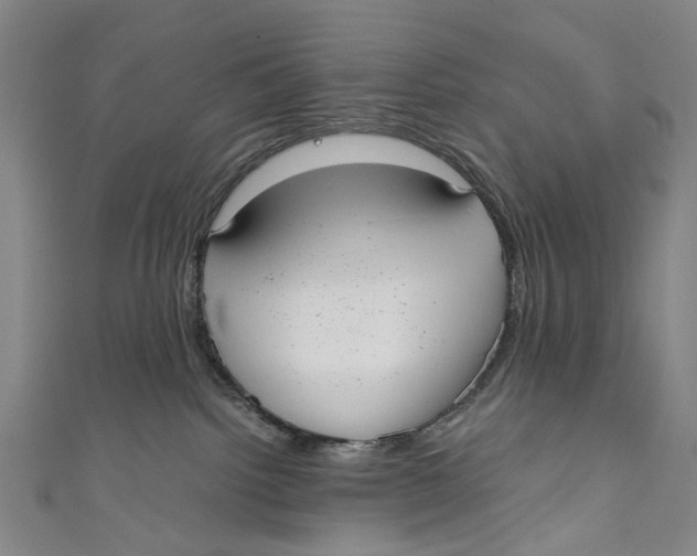 X0000110950092200907101316