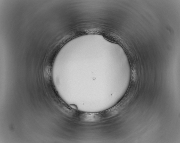 X0000110950093200907101316