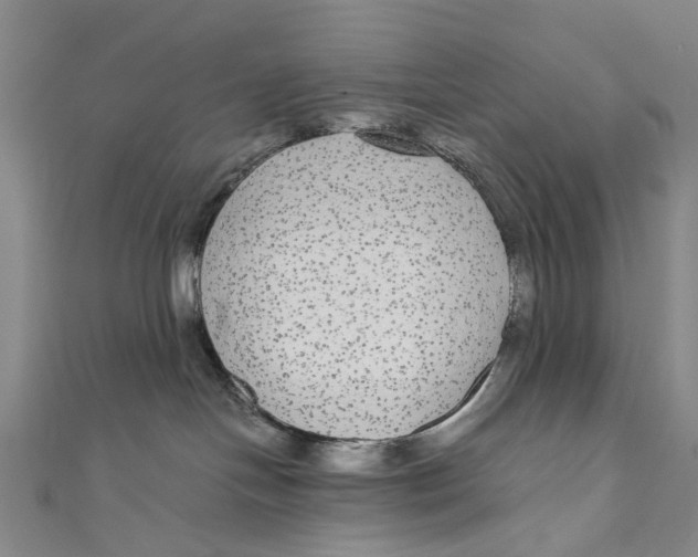 X0000110950094200907101316