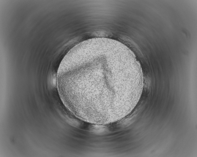 X0000110950095200907101316