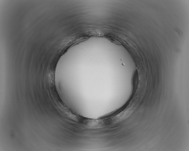 X0000110950096200907101316