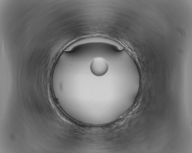 X0000110950097200907101315