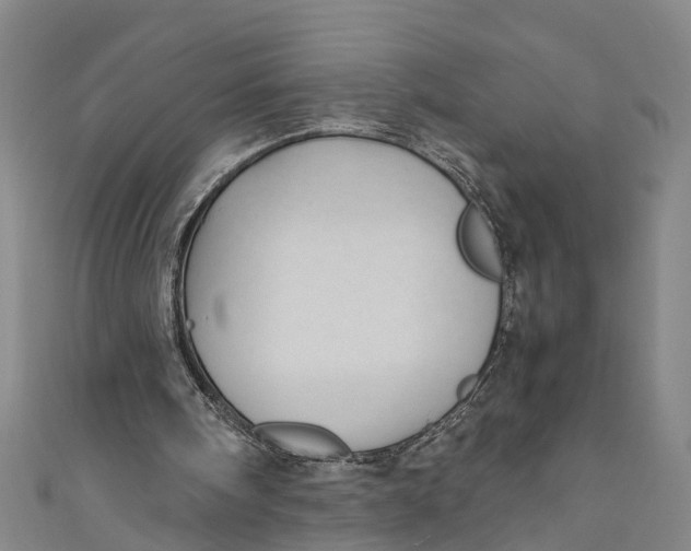 X0000110950098200907101315