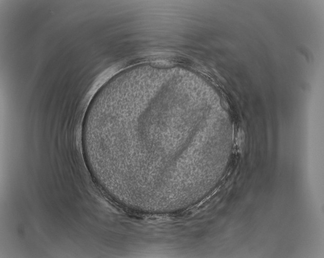 X0000110950099200907101315