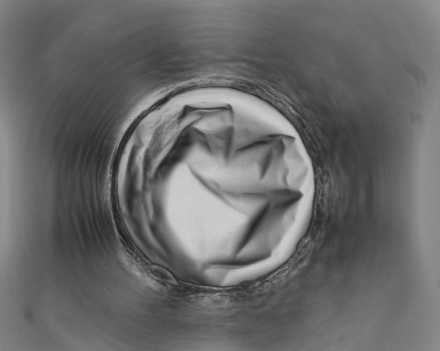 X0000110950100200907101315