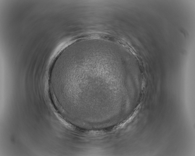 X0000110950101200907101315