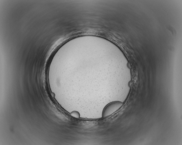 X0000110950102200907101315