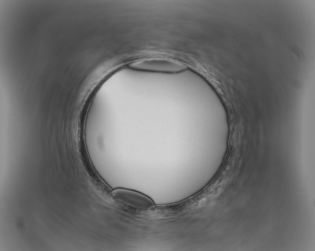 X0000110950103200907101315