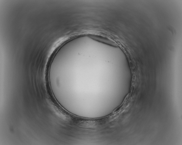 X0000110950104200907101315