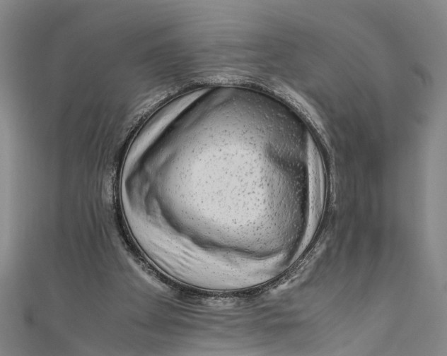 X0000110950105200907101315