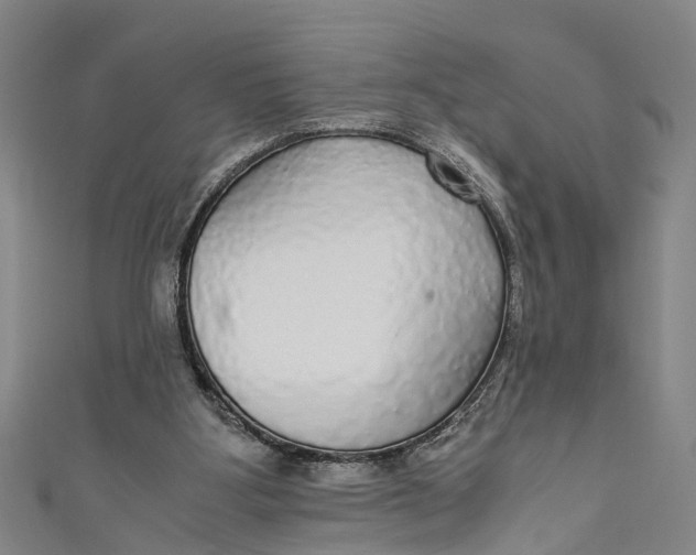 X0000110950107200907101315