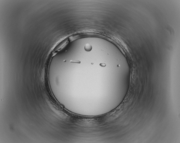 X0000110950108200907101315