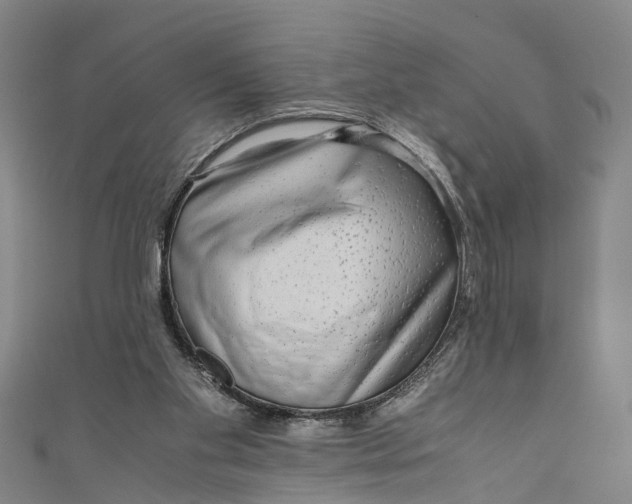 X0000110950109200907101315