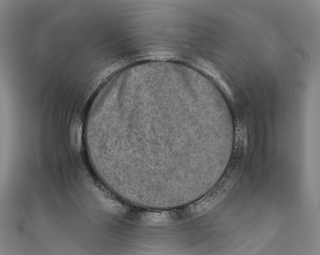 X0000110950110200907101315